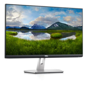 Dell S2421HN 60.96 cm (24 Inch) with IPS Panel Technology, 1920 x 1080 Resolution, Refresh Rate 75 Hz, Display Port, Silver Monitor